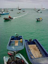 Boats in the marina